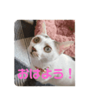 みい＆めい（個別スタンプ：3）