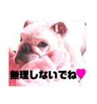B.B.B.のPRINCE ぐっちくん（個別スタンプ：27）