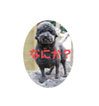 くろみつぅ（個別スタンプ：6）