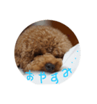 かのぷ（個別スタンプ：2）