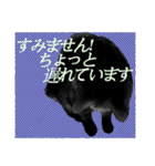 黒猫シャノワールちゃんが丁寧語で話します（個別スタンプ：3）