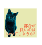 黒猫シャノワールちゃんが丁寧語で話します（個別スタンプ：10）