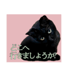 黒猫シャノワールちゃんが丁寧語で話します（個別スタンプ：11）