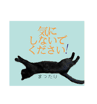 黒猫シャノワールちゃんが丁寧語で話します（個別スタンプ：16）