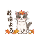 やさしい子猫の動くスタンプ3 〜秋冬〜（個別スタンプ：1）