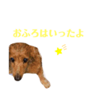 ファミちゃんアイランド5（個別スタンプ：6）