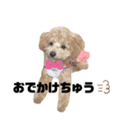茶々623（個別スタンプ：6）