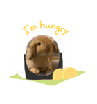 まつだししまる①（個別スタンプ：5）