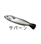 川魚と海の生き物2（個別スタンプ：5）