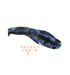 川魚と海の生き物2（個別スタンプ：6）