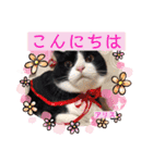 アリスちゃんとなかまたち（個別スタンプ：1）