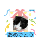 アリスちゃんとなかまたち（個別スタンプ：4）