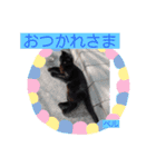 アリスちゃんとなかまたち（個別スタンプ：6）