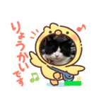 アリスちゃんとなかまたち（個別スタンプ：7）