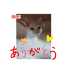 アリスちゃんとなかまたち（個別スタンプ：8）
