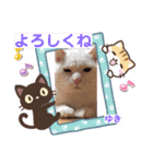 アリスちゃんとなかまたち（個別スタンプ：12）