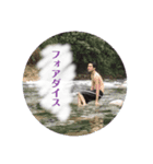べいべいべいべ（個別スタンプ：1）