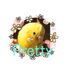 癒しの小鳥さんたち（個別スタンプ：3）