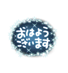 大人キラキラメッセージ(年末年始あり)（個別スタンプ：11）