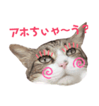 ごえもん日和 8（個別スタンプ：1）