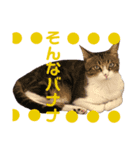 ごえもん日和 8（個別スタンプ：2）
