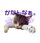 ごえもん日和 8（個別スタンプ：3）
