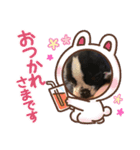 jin stamp( > < )（個別スタンプ：2）