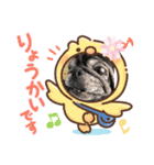 jin stamp( > < )（個別スタンプ：4）