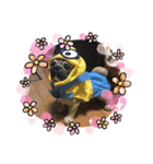 jin stamp( > < )（個別スタンプ：8）