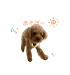 老犬ベリー3（個別スタンプ：3）