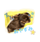 chirolだよ（個別スタンプ：24）