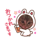 よもぎねこスタンプ（個別スタンプ：3）