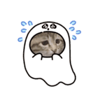 よもぎねこスタンプ（個別スタンプ：5）
