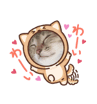 よもぎねこスタンプ（個別スタンプ：6）