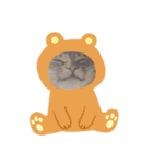 よもぎねこスタンプ（個別スタンプ：8）