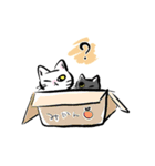 白黒CATS（個別スタンプ：7）