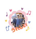 セキセイインコるり（個別スタンプ：9）