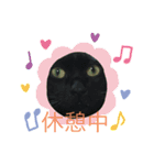 ねこスタンプ★★（個別スタンプ：2）