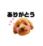 あかねのちゃちゃ（個別スタンプ：1）