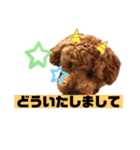 あかねのちゃちゃ（個別スタンプ：3）