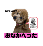 あかねのちゃちゃ（個別スタンプ：4）