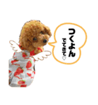 あかねのちゃちゃ（個別スタンプ：8）