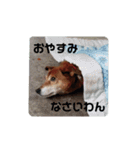 ななちゃんスタンプ❤️（個別スタンプ：2）