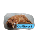 ななちゃんスタンプ❤️（個別スタンプ：4）