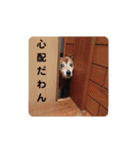 ななちゃんスタンプ❤️（個別スタンプ：9）