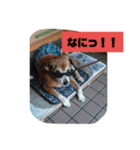 ななちゃんスタンプ❤️（個別スタンプ：11）