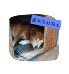 ななちゃんスタンプ❤️（個別スタンプ：14）
