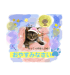 猫のぐうとちょこびの日常（個別スタンプ：9）
