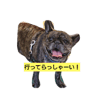 日常良く使う言葉  フレブル（個別スタンプ：2）