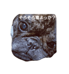 日常良く使う言葉  フレブル（個別スタンプ：3）